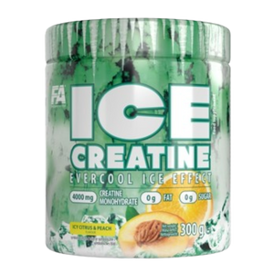 FA ľadový kreatín 300 g (kreatín)