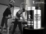 LEVRONE Joint Support 450 g (product for joints)