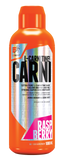 Extrifit L-Carnitine 120.000 mg (1000ml) - FEN - Sport Nutrition